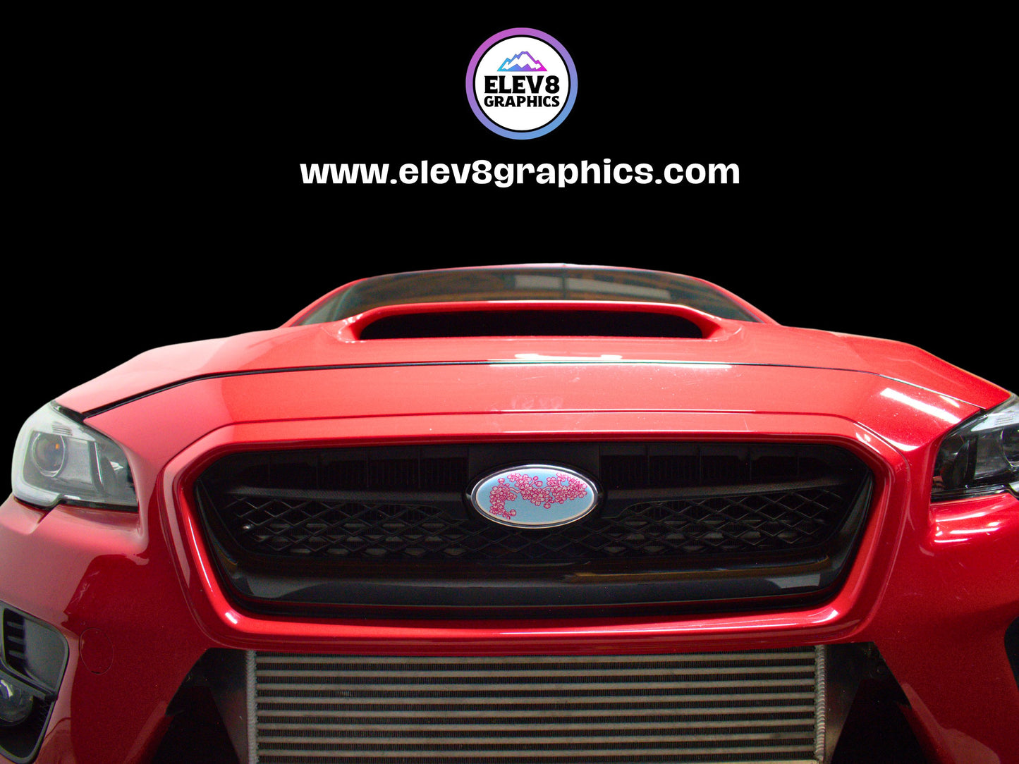 Emblem Overlay Set for Subaru: Cherry Blossom Magenta Outline Overlay - Two Color Options -  Fits Multiple Models